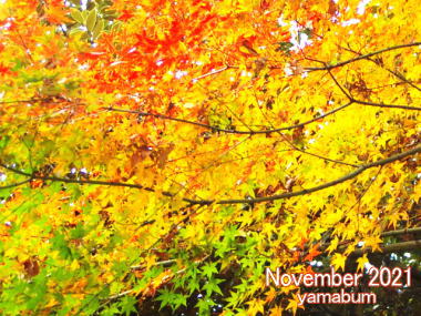 ２０２１年　芸術の秋は楽しめましたか　紅葉や高い空　アートな色彩に包まれるこの季節　好きなものに触れて英気を養いましょう　山本文房堂　
