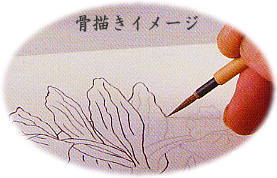 骨描きイメージ